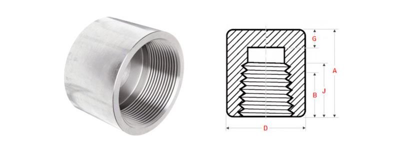 End Cap Forged Fittings Manufacturer & Supplier in India End Cap Forged Fittings Manufacturer & Supplier in India